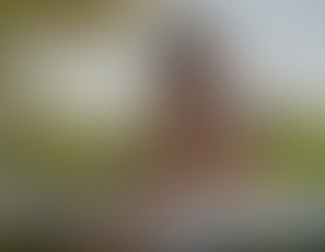 260_Outdoor_sex_at_a_park
